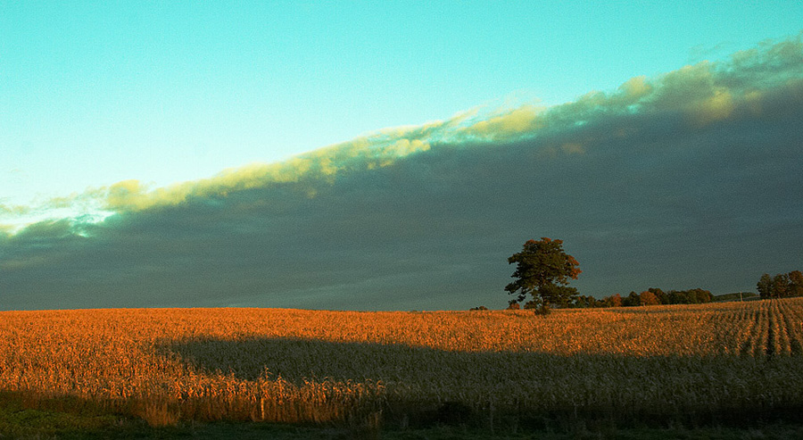 Landscapes pic