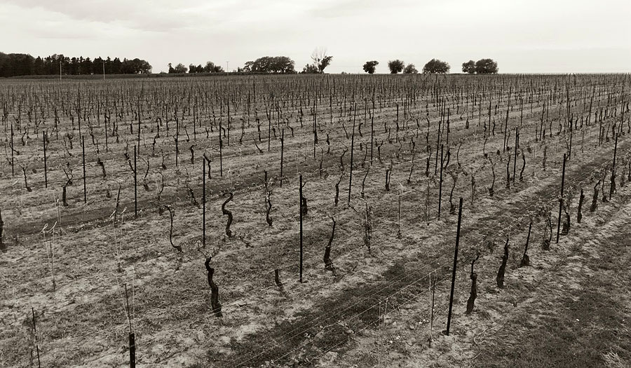 Landscapes pic